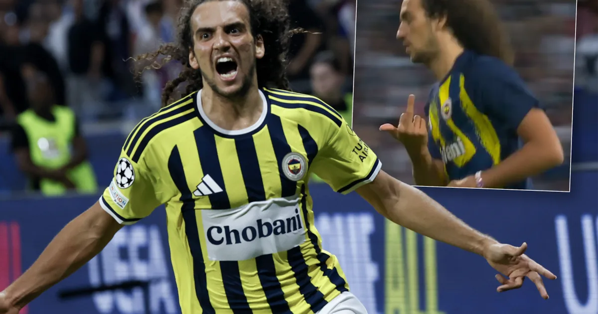 Lyon-Fenerbahçe ontaardt in vechtpartij na Champions League-kwalificatie