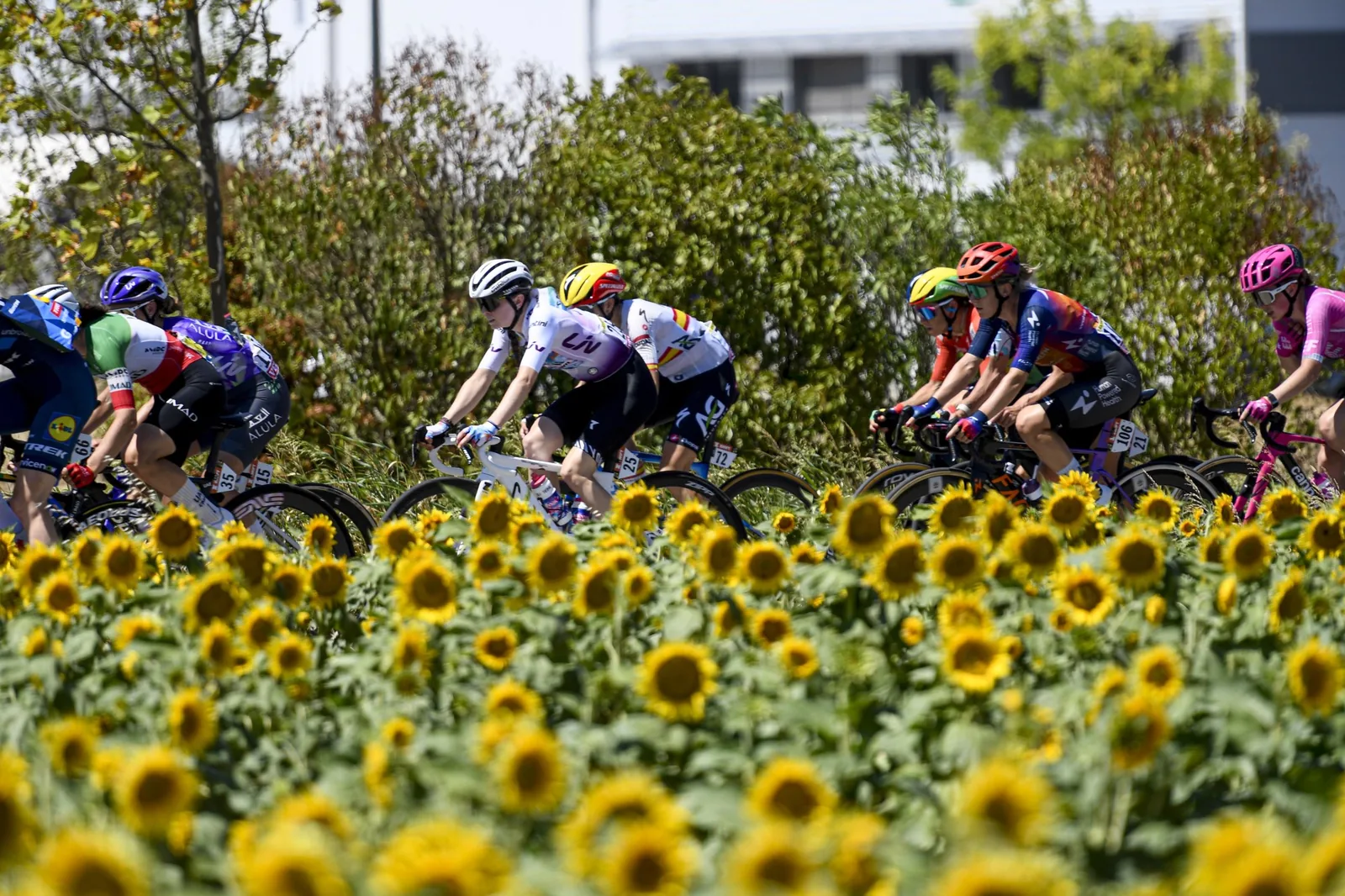 Ferrand-Prévot start niet in voorlaatste etappe Tour de France Femmes